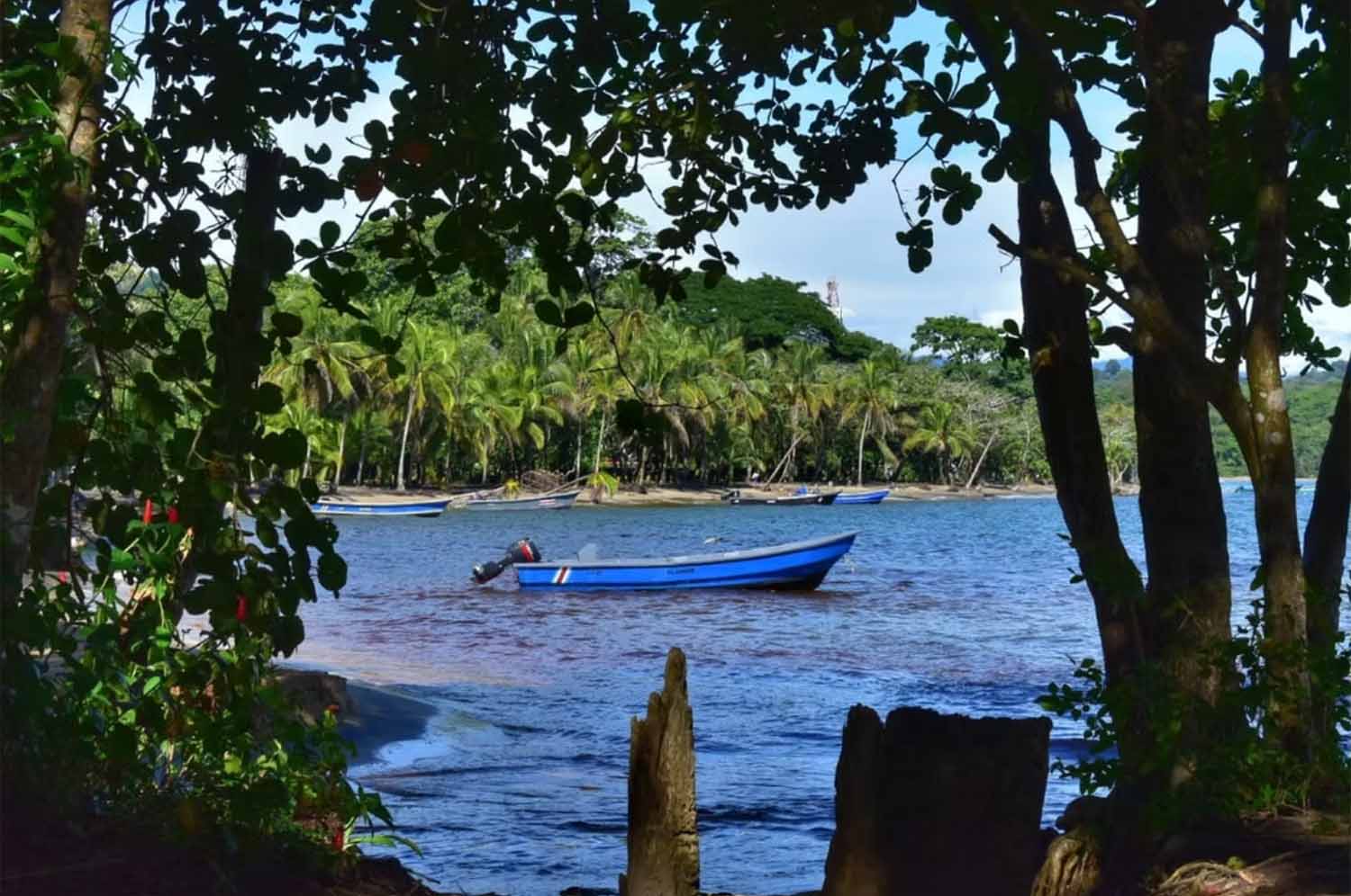 Boat at Puerto Viejo