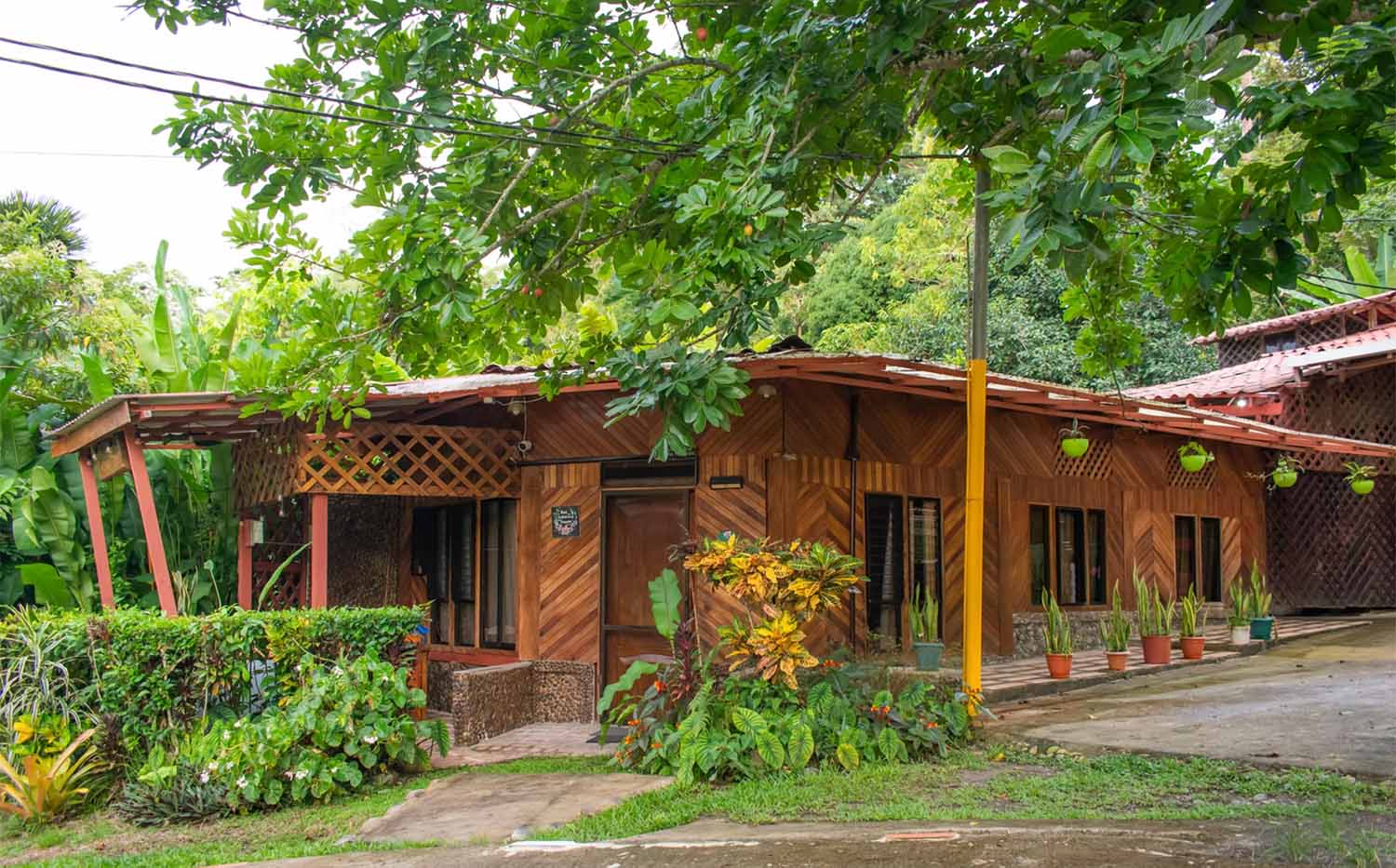 Villa #8 Oso peresozo